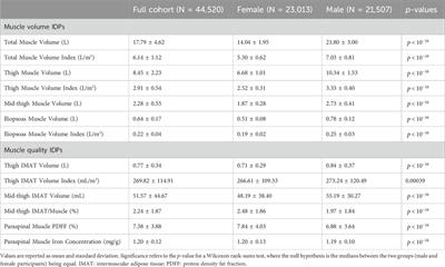 Precision MRI phenotyping of muscle volume and quality at a population scale